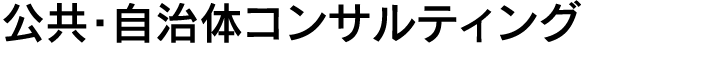 公共･自治体コンサルティング