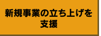 新規事業の立ち上げを支援