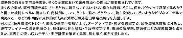 成熟感のある日本市場を鑑み、多くの企業において海外市場への進出が重要視されています。多くの企業が、海外商談を成功させるために超えなくてはいけない様々な課題、どこに、何を、どうやって営業するのか？と言った検討レベルに留まらず、商材別に、いつ、どこに、誰と、どうやって、幾ら投資して、どのようなビジネスモデルで商売する…などの多角的に具体的な成果に繋がる海外進出戦略と実行を支援します。例えば、海外市場のトレンド、顧客の生の声を拾い上げ、ターゲット市場・顧客を選定する。競争環境を詳細に分析し、既存プレイヤーの隙を把握の上、具体的な参入領域・手段を特定する。市場の法規制、商習慣などの環境情報も踏まえた、実現性の高い収益モデル・実行計画を策定する等、具対策立案を支援します。