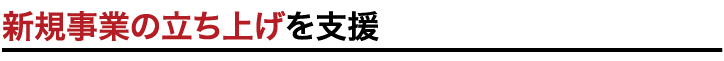 新規事業の立ち上げを支援